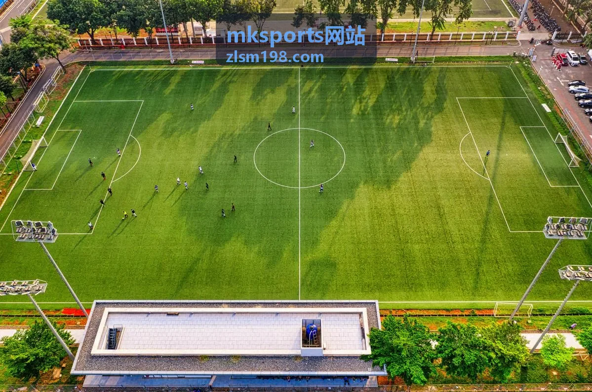 mksports网站赛事数据面板界面预览